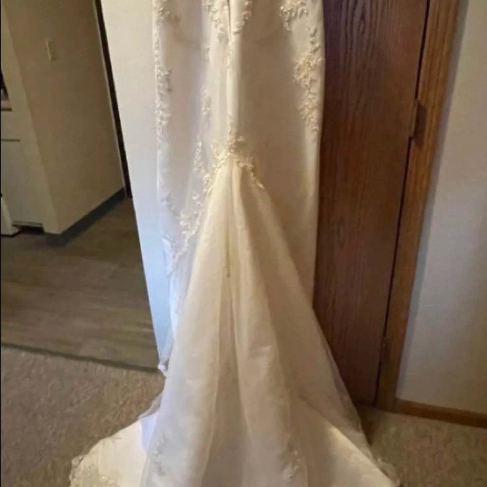 Gorgeous wedding dress - Picture 4 of 5